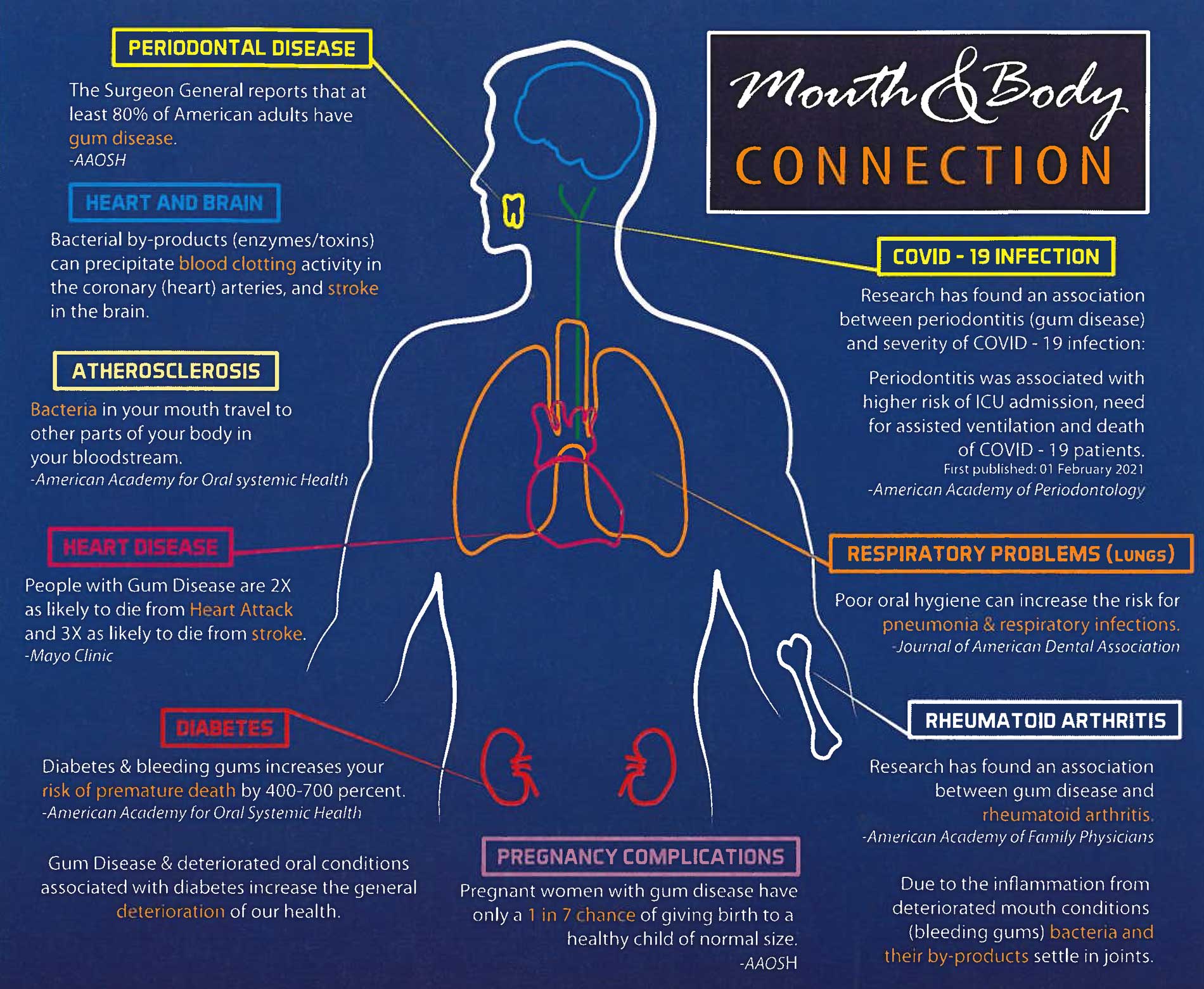 mouth-and-body-connection | Michael G. Wood DDS, P.A.